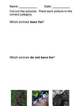 Preview of Categorizing Animals Worksheets