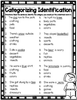 Categorizing Identification Worksheet by Liddle Minds | TPT