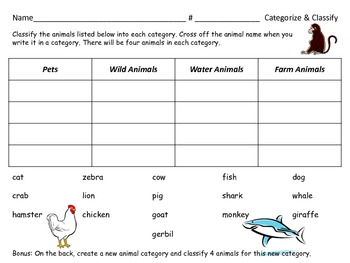 Categorizing and Classifyng: Different Types of Animals - lower elementary
