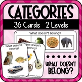 Category Cards with Photos 'What doesn't belong?' (Special