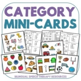 Word Vocabulary - Category Mini-Cards