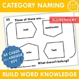 Category Naming Activity for Speech Therapy