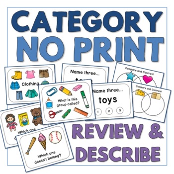 Preview of Vocabulary Categories - NO PRINT PDF - Review and Describe - DIGITAL