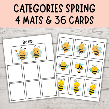 Preview of Category Sorting 11 | Spring Non-Identical Sorting Activities | Spring
