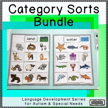 Preview of Category Sorting Activities File Folders Autism
