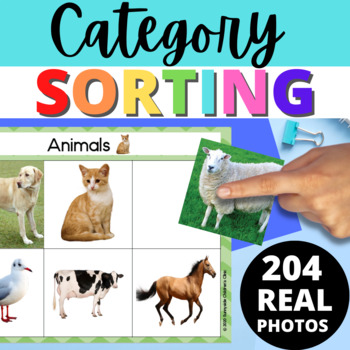 Preview of Category Sorting Activities Speech Therapy with Real Photo Visuals