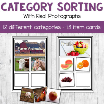 Preview of Sorting Photographs into Categories Speech Therapy Category Activity