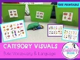 Category Visuals To Build Vocabulary