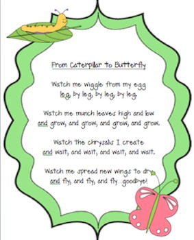 Caterpillar & Butterfly Life Cycle Unit :) :) by Katherine Tsengas