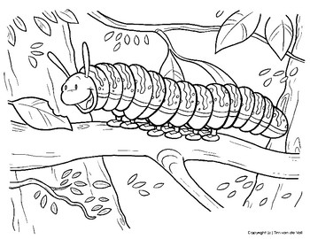 Caterpillar Coloring Page For Kids By Tim S Printables Tpt