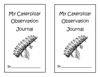 Caterpillar Observation Journal Cover by Katie Foss | TPT