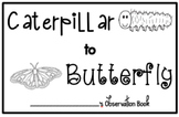 Caterpillar Observation Science Journal