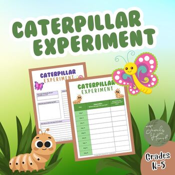 Preview of Caterpillar Science Experiment Log Report Template Grades K-5