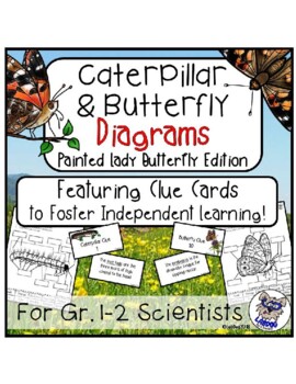 Preview of Caterpillar and Butterfly Diagrams: Painted Lady Butterfly Version