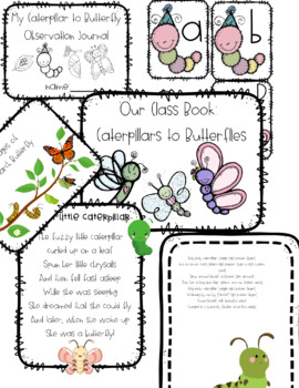 Preview of Caterpillar to Butterfly Learning Activities Preschool and Kindergarten BUNDLE