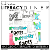 Caterpillar to Butterfly Nonfiction - Kindergarten Interac