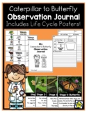 Caterpillar to Butterfly Observation Journal with Life Cyc