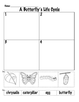 Caterpillar to butterfly unit: writing, life cycle, activities - K-2 ...
