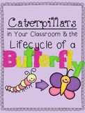 Caterpillars & Butterfly Unit for Preschoolers