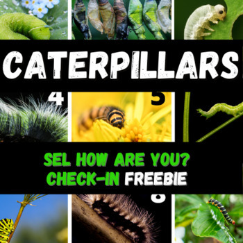Preview of Caterpillars SEL check-in Freebie How are you feeling? Social Emotional Learning