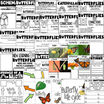 Caterpillars and Butterflies Nonfiction Informational Text Unit | TPT