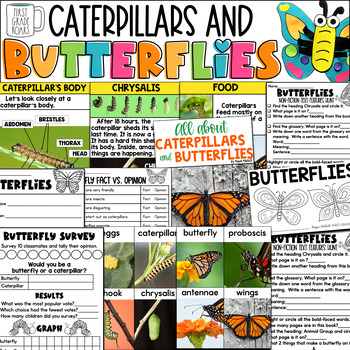 Preview of Caterpillars and Butterflies Nonfiction Informational Text Unit