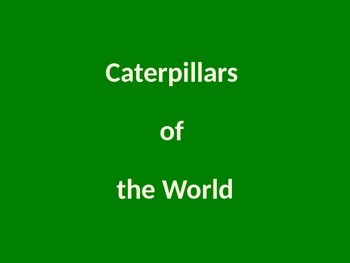 Preview of Caterpillars of the World