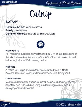 Preview of Catnip ~ Nepeta cataria Herbal Mini-Book (Monograph)