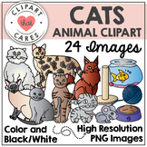 Cats Animal Clipart by Clipart That Cares