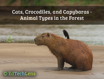 Preview of Animals Grow, Adapt, Survive, and Interact in a Rainforest Ecosystem Unit eBook