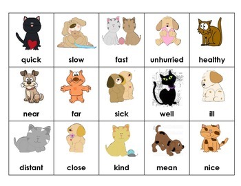 Cats & Dogs - Synonyms & Antonyms by LEARNING FUN | TPT