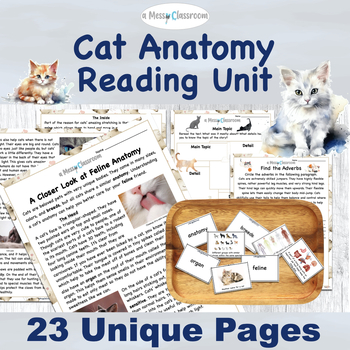 Preview of Cats: Feline Anatomy 2nd Grade Nonfiction Reading Unit L.2.1.e Parts of Speech