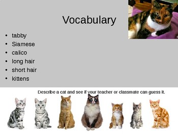 Learning Vocabulary - Lionheart or Scaredy-cat