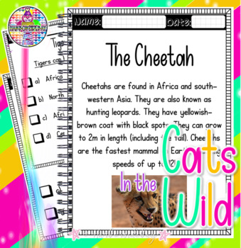 Preview of Cats found in the Wild | Worksheets | Cheetah | Lion| Tiger|Jaguar|Wildcat|Puma|