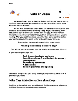 why are dogs better than cats essay