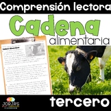 Causa y efecto comprensión lectora para tercero en español