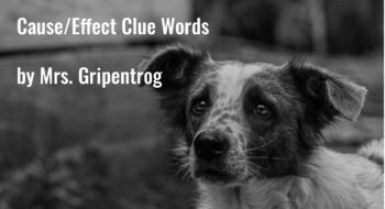 Preview of Cause and Effect Clue Words