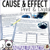 Cause and Effect Worksheets w Graphic Organizer PDF Google Slides