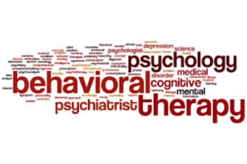 Preview of Behavior Disorders: Causes of Behavior Disorders in Children