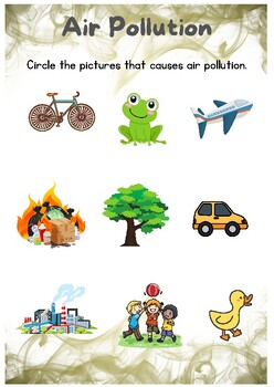 Causes of Pollution by Mrs Meals | TPT