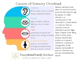 Causes of Sensory Overload information and worksheet for p