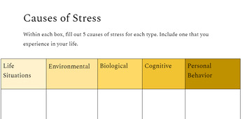 Preview of Causes of Stress Activity/Outline
