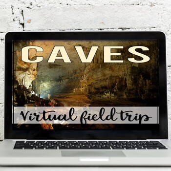 Preview of Caves Virtual Field Trip (8 Different Caverns with Google Earth Exploration)