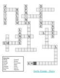 Cecily Cicada Vocabulary Crossword Puzzle