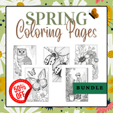 Celebrate Spring Coloring Pages BUNDLE- Printable