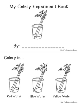 Celery Experiment Booklet by Mrs V's ABCs | Teachers Pay Teachers