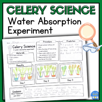 Preview of Celery Experiment Science PRINTABLE | Water Absorption | Spring Science