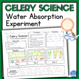Celery Experiment Science PRINTABLE | Water Absorption | S