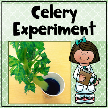 Preview of Celery Plant Experiment (Procedure, Notes & Reflection)