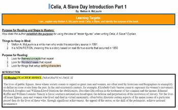 celia a slave book review essay